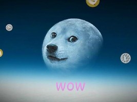 Doge Moon / 